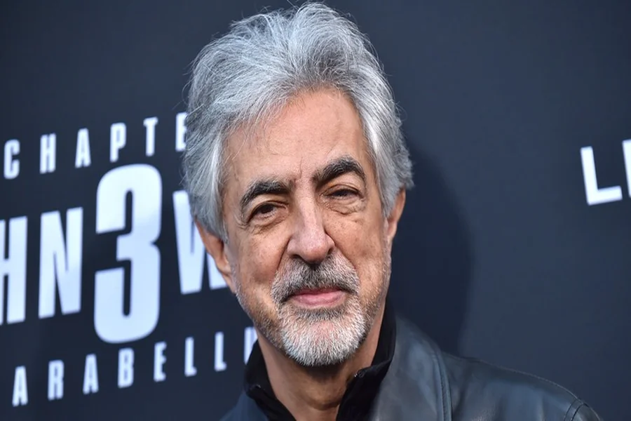 Joe Mantegna Net Worth