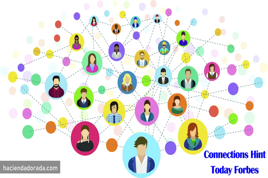 connection hint today forbes