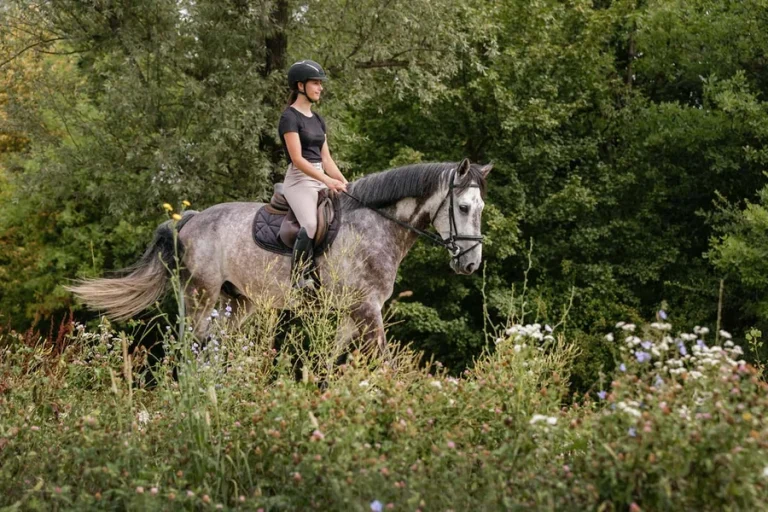 Trail Ride