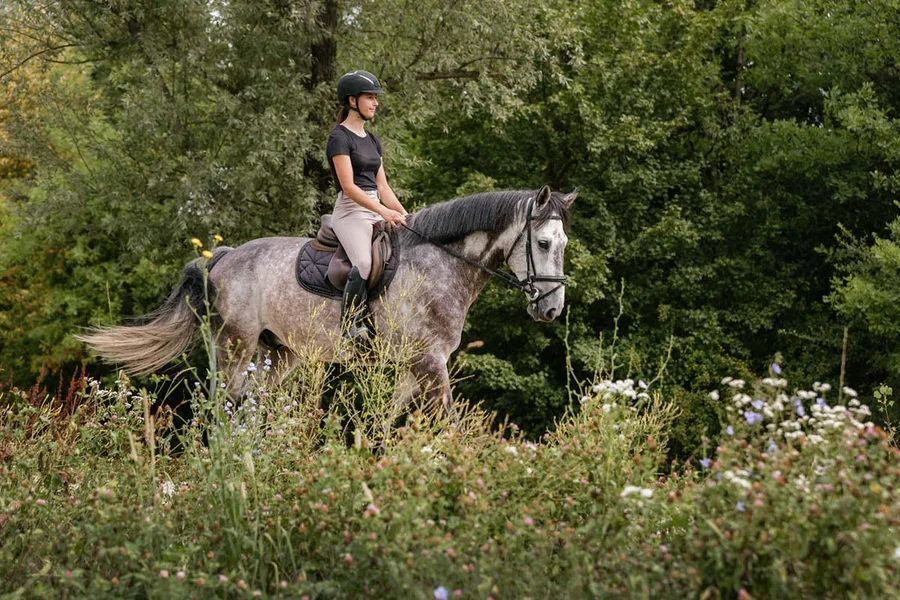 Trail Ride